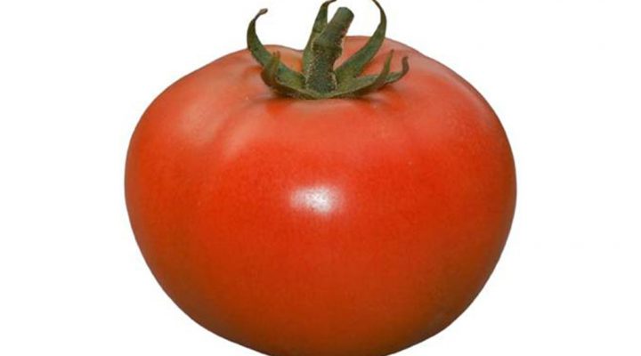 Tomate Compack