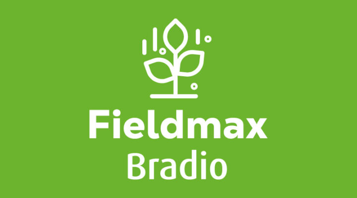 Fieldmax Bradio
