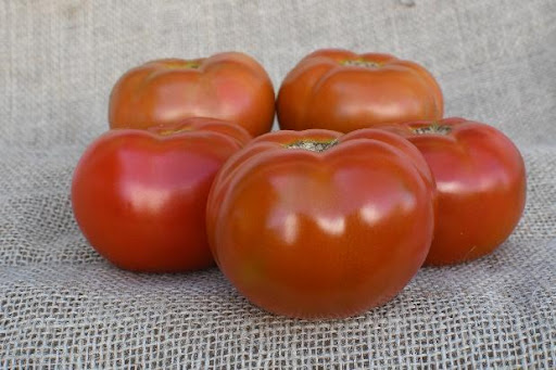 Tomate ComandanTY (SVTH3938)