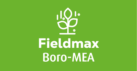 Fieldmax Boro-MEA