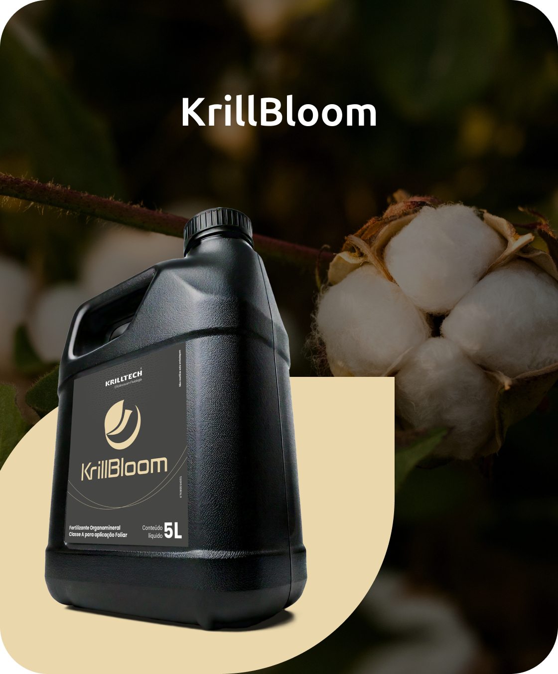 Krillbloom
