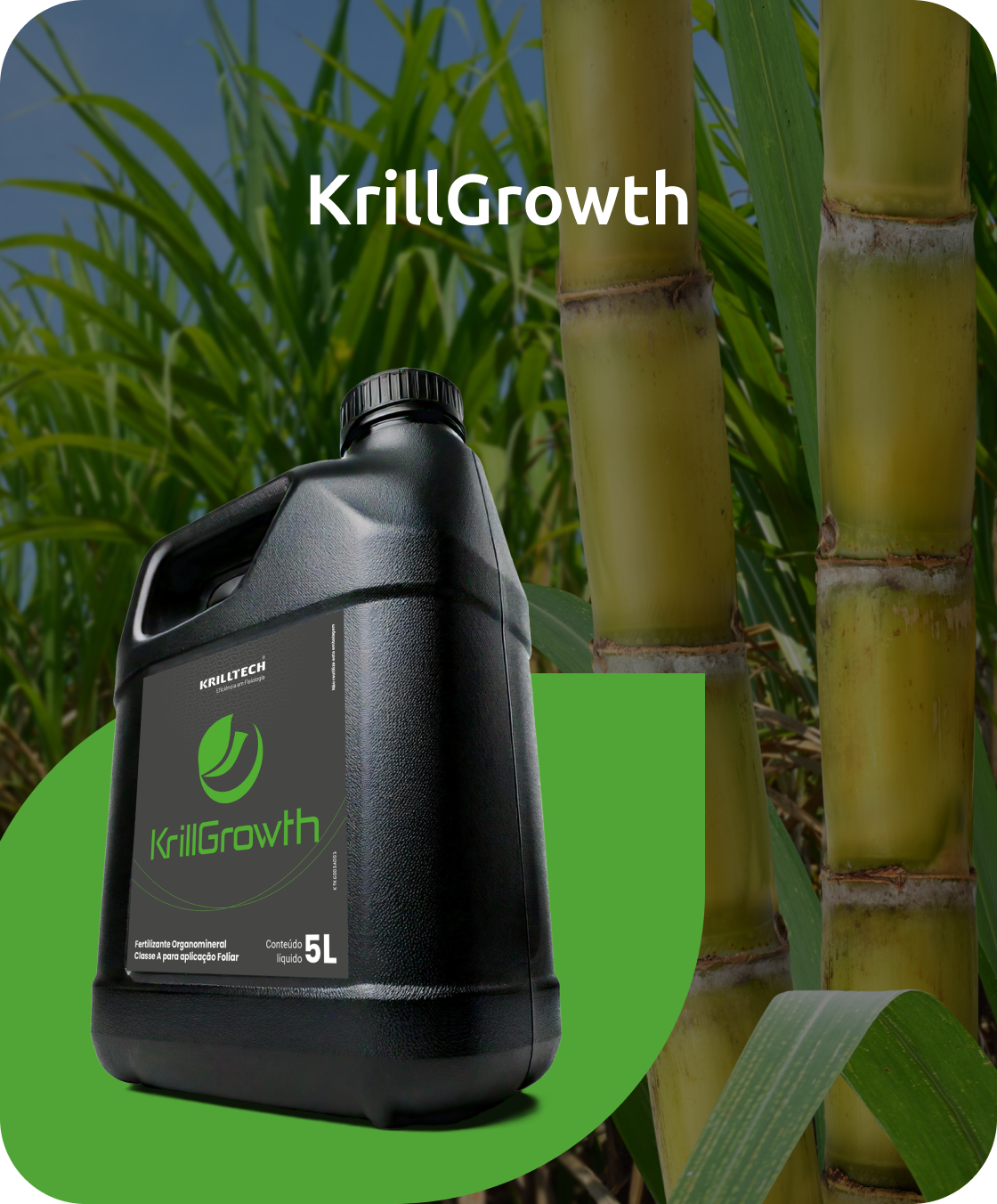 Krillgrowth