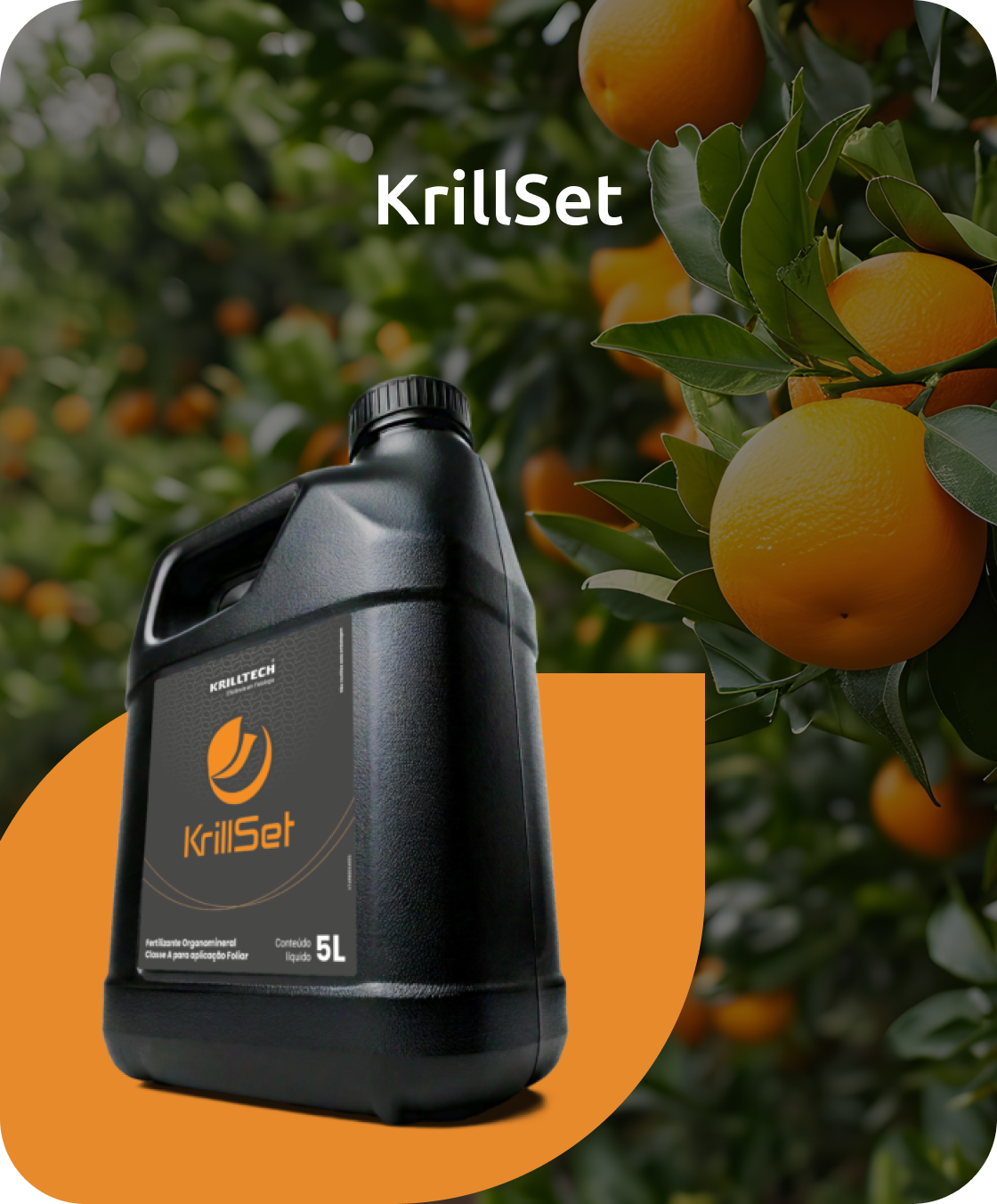 Krillset