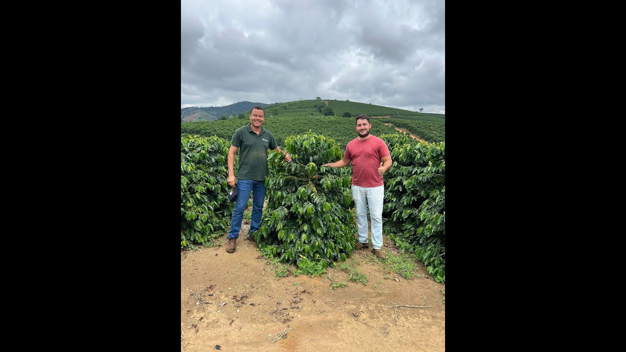 Depoimento de Daniel Tolledo, produtor de café