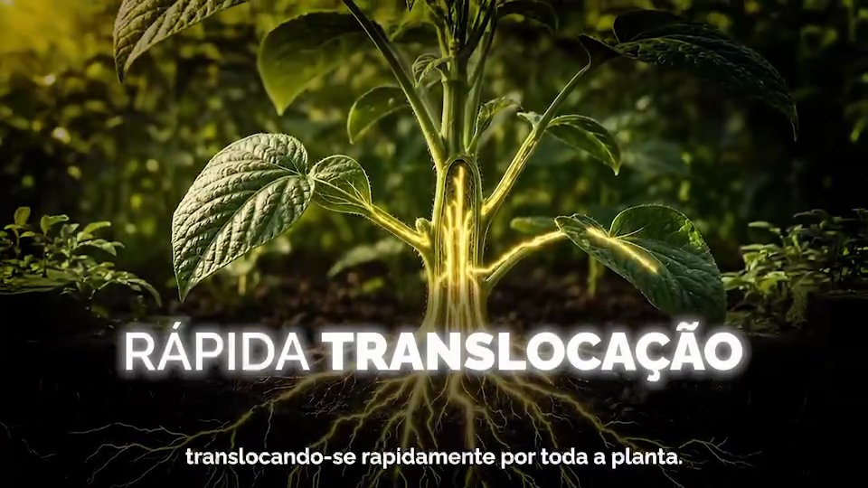 Sinalizadores fisiológicos Krilltech